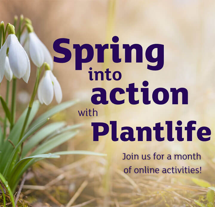 Spring into action Facebook image